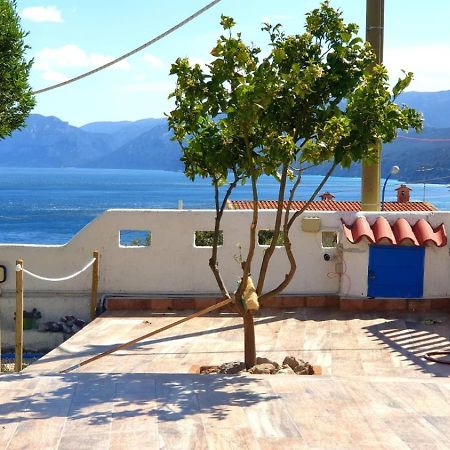 B&B Cala Luna กาลาโกโนเน ภายนอก รูปภาพ