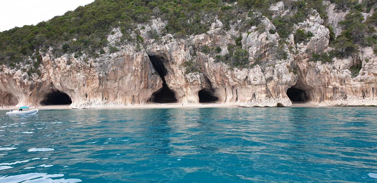 B&B Cala Luna กาลาโกโนเน ภายนอก รูปภาพ