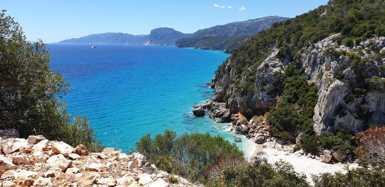 B&B Cala Luna กาลาโกโนเน ภายนอก รูปภาพ